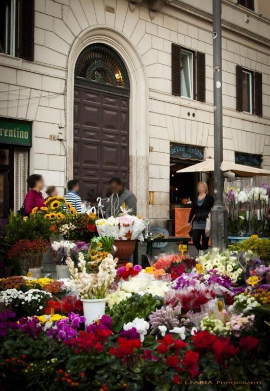 Appartement Flower *